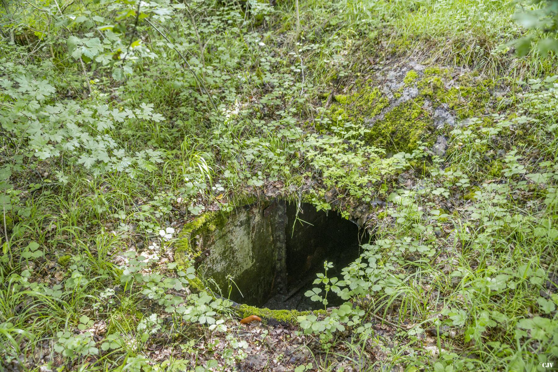 Ligne Maginot - TAUBRUNNENWALD 12 - FT - (Blockhaus pour arme infanterie) -  - Lia VERMEULEN