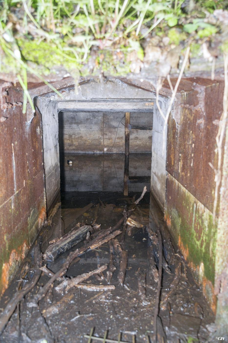 Ligne Maginot - TAUBRUNNENWALD 12 - FT - (Blockhaus pour arme infanterie) -  - Lia VERMEULEN