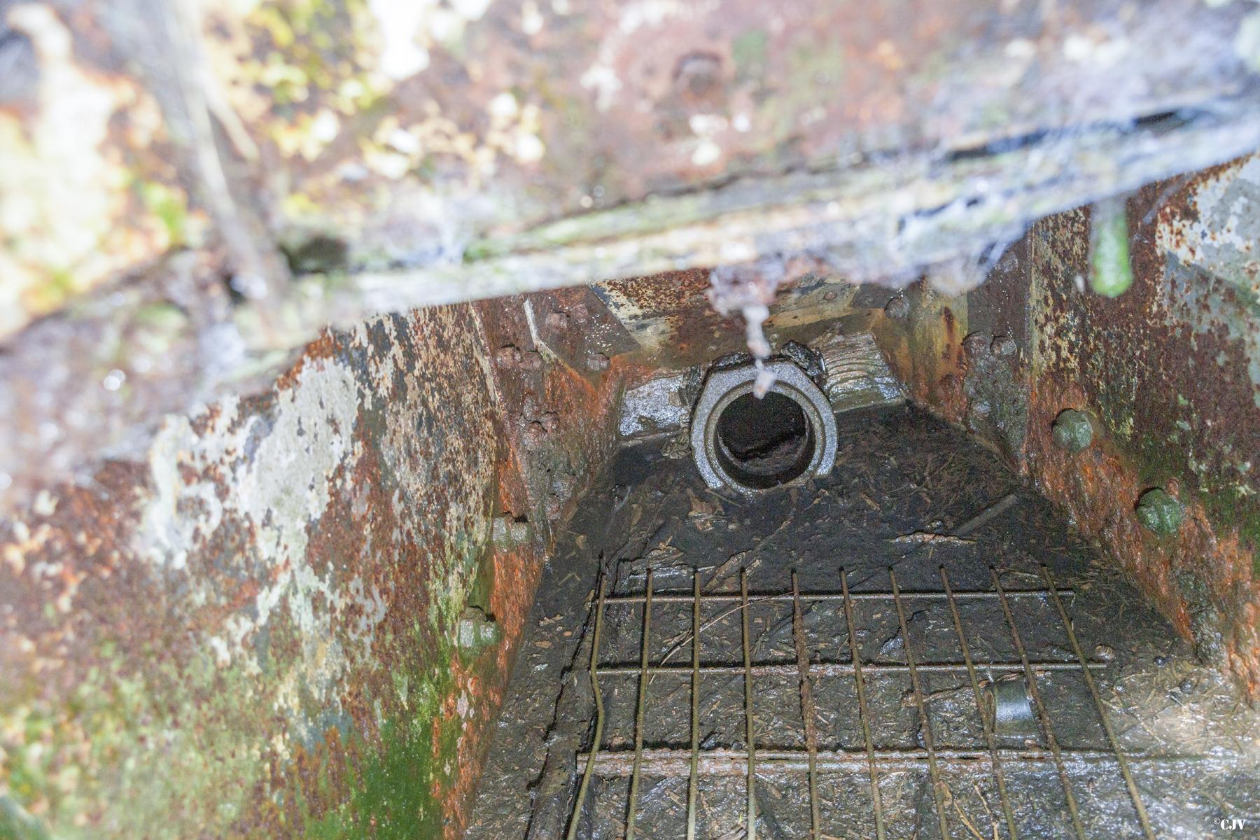 Ligne Maginot - TAUBRUNNENWALD 12 - FT - (Blockhaus pour arme infanterie) -  - Lia VERMEULEN