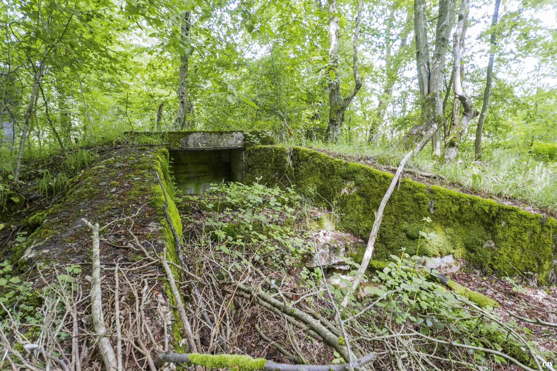 Ligne Maginot - TAUBRUNNENWALD 12 - FT - (Blockhaus pour arme infanterie) -  - Lia VERMEULEN