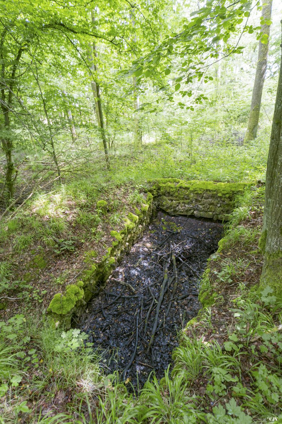 Ligne Maginot - TAUBRUNNENWALD 11 - (Blockhaus de type indeterminé) -                             - Lia VERMEULEN