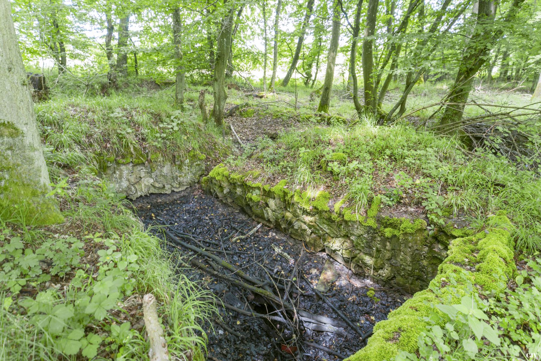 Ligne Maginot - TAUBRUNNENWALD 11 - (Blockhaus de type indeterminé) -                            - Lia VERMEULEN
