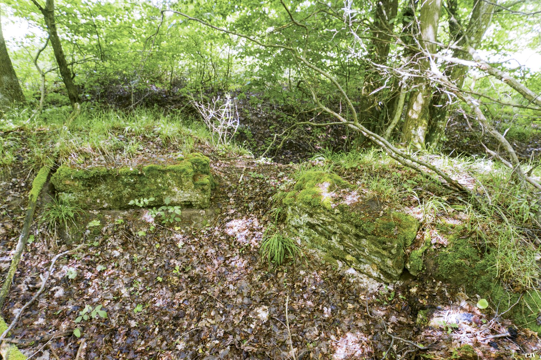 Ligne Maginot - TAUBRUNNENWALD 11 - (Blockhaus de type indeterminé) - Partie muré tout proche                            - Lia VERMEULEN