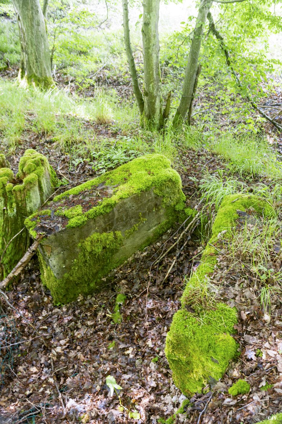 Ligne Maginot - TAUBRUNNENWALD 10 - (Cuve pour arme d'infanterie) -  - Lia VERMEULEN