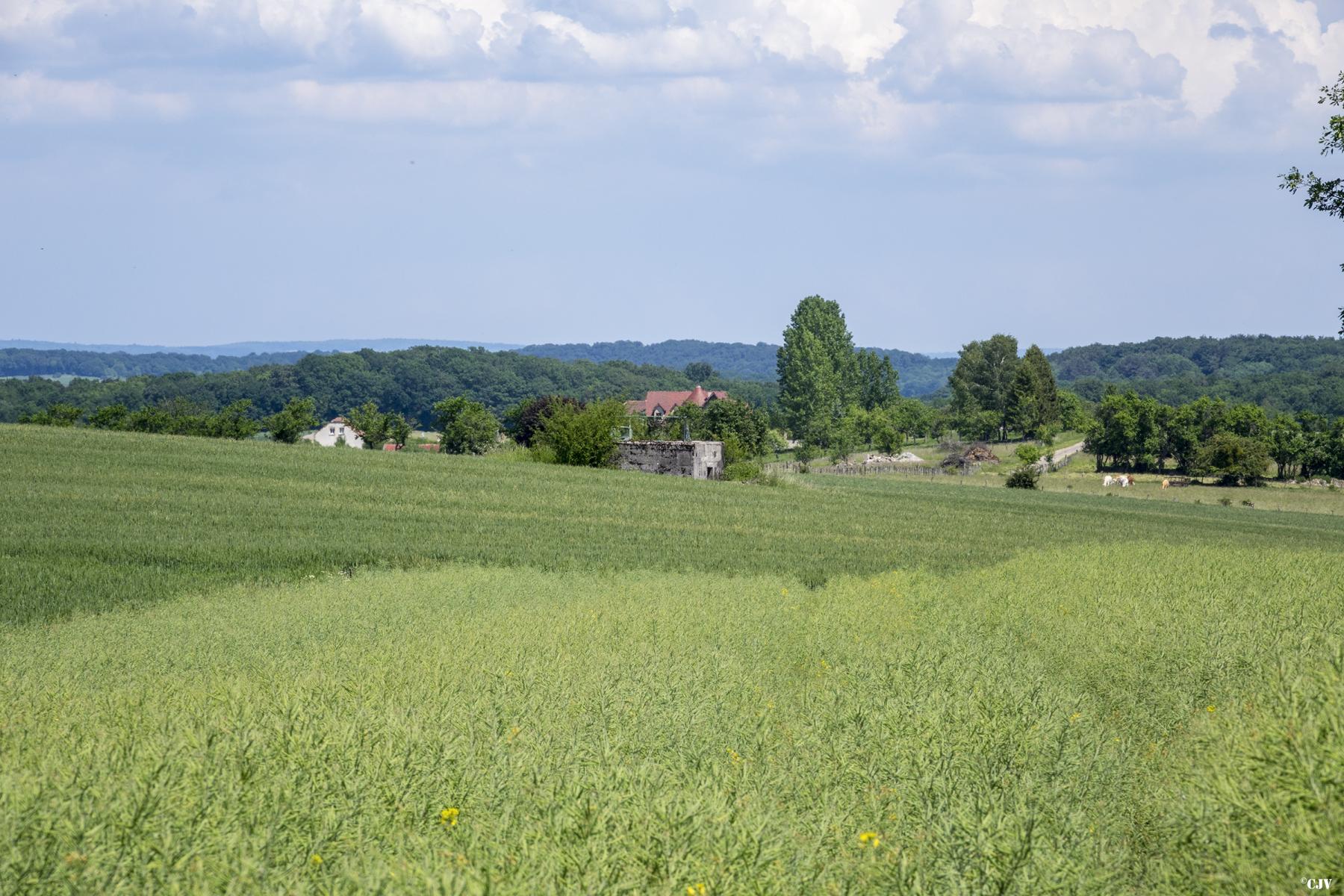 Ligne Maginot - VALETTE SUD OUEST - (Blockhaus pour arme infanterie) -                  - Lia VERMEULEN
