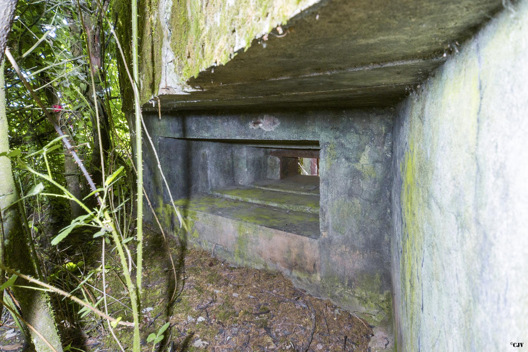 Ligne Maginot - VALETTE OUEST - (Blockhaus pour arme infanterie) -                - Lia VERMEULEN