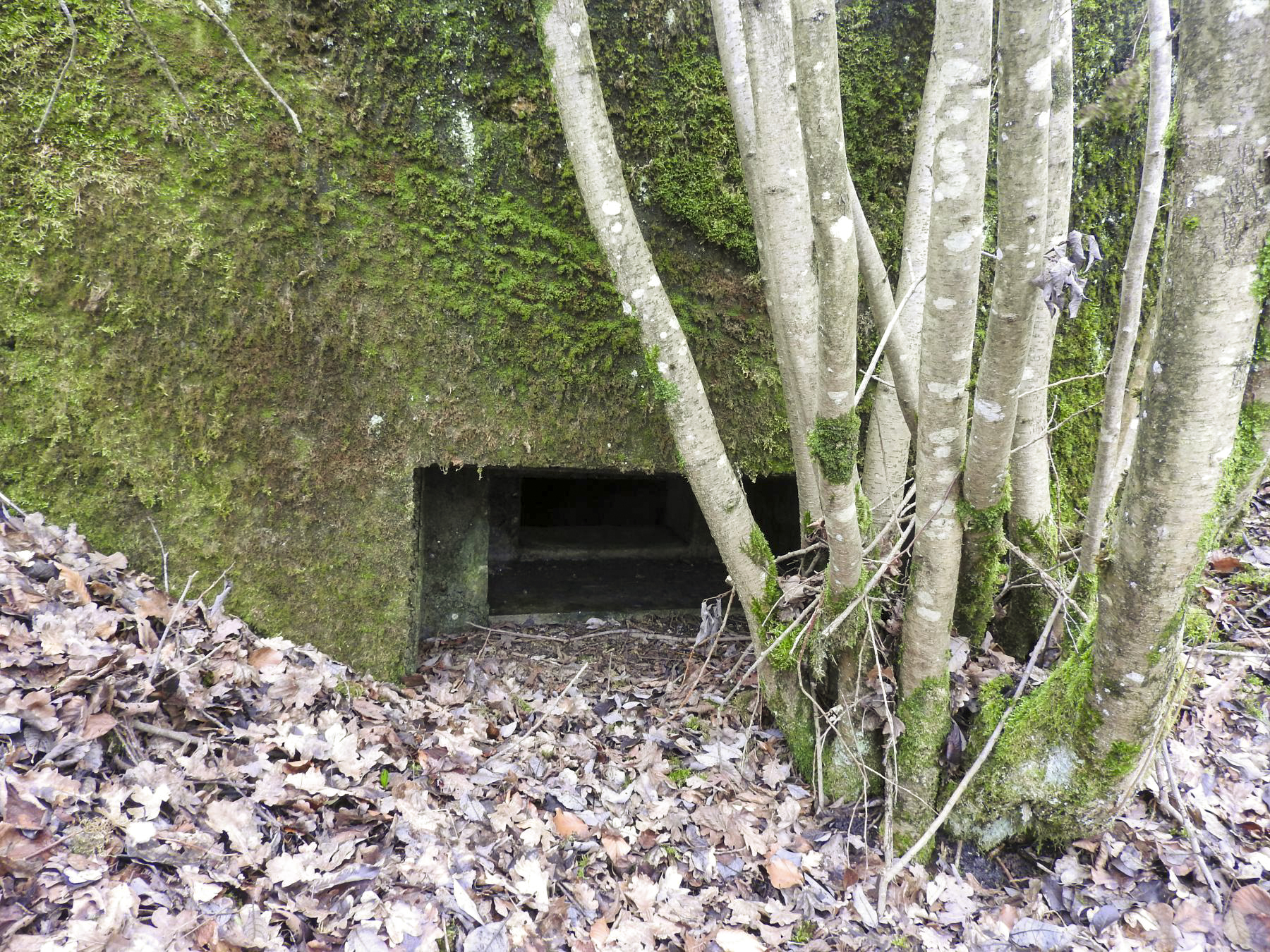 Ligne Maginot - VALETTE NORD OUEST - (Blockhaus pour arme infanterie) - La créneau est. - STENGER Mathieu