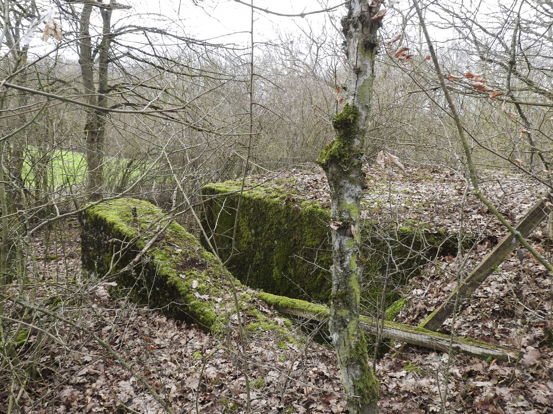 Ligne Maginot - VALETTE NORD OUEST - (Blockhaus pour arme infanterie) - L'entrée du blockhaus. - STENGER Mathieu