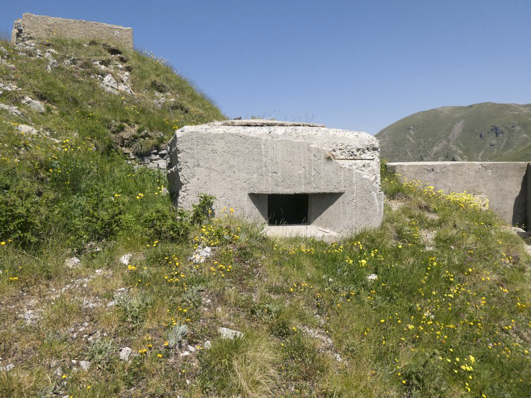 Ligne Maginot - COL DE RAUS 1 - (Blockhaus pour arme infanterie) -  - ELLENA - CUNY