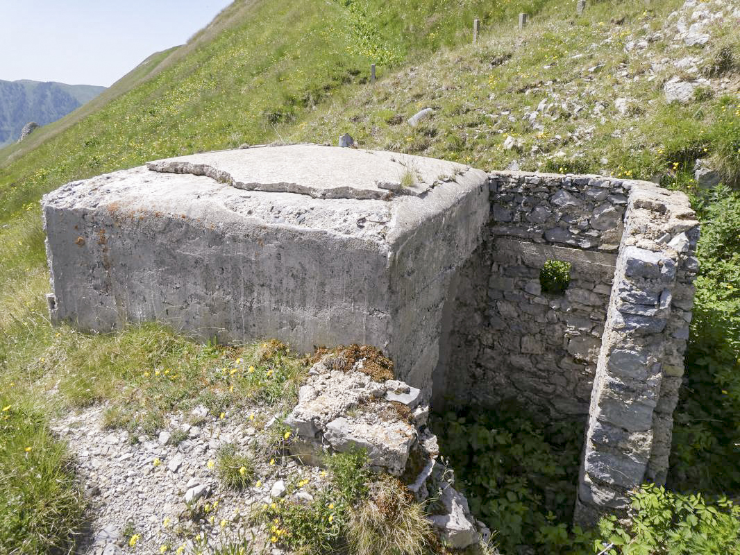 Ligne Maginot - COL DE RAUS 1 - (Blockhaus pour arme infanterie) -  - ELLENA - CUNY