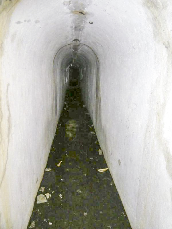Ligne Maginot - COL DE RAUS (CR) - (Ouvrage d'infanterie) -  - ELLENA - CUNY