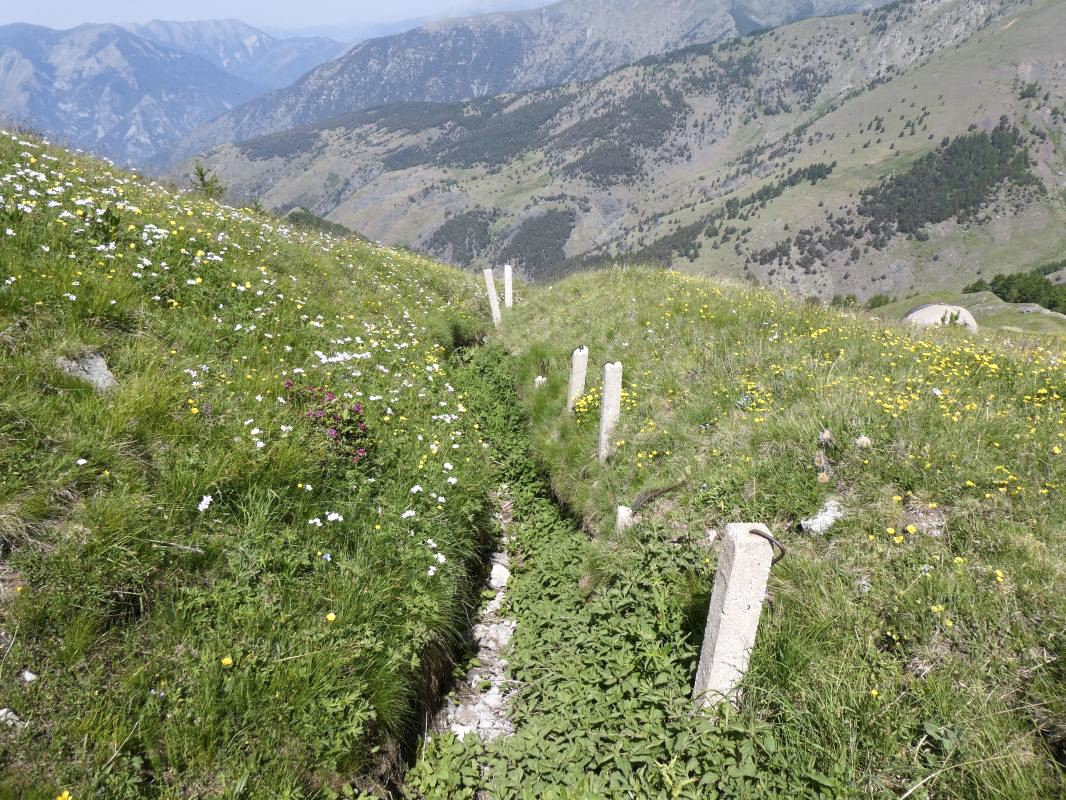Ligne Maginot - COL DE RAUS (CR) - (Ouvrage d'infanterie) - Tranchée de liaison - ELLENA - CUNY