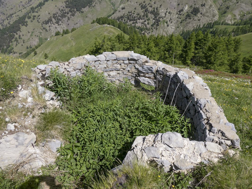 Ligne Maginot - COL DE RAUS - C2 - (Cuve pour arme d'infanterie) -  - ELLENA - CUNY