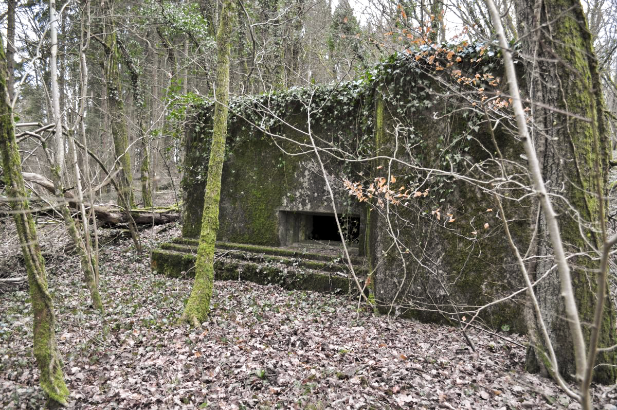 Ligne Maginot - LES TRICHES 1 - (Blockhaus pour canon) -  - Pruzsina jerome