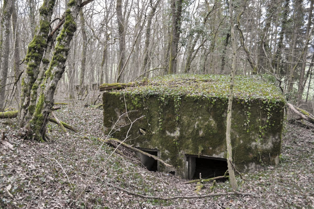 Ligne Maginot - LES TRICHES 1 - (Blockhaus pour canon) -  - Pruzsina jerome