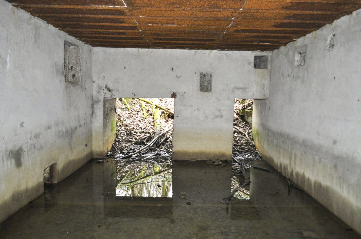 Ligne Maginot - LES TRICHES 1 - (Blockhaus pour canon) -  - Pruzsina jerome