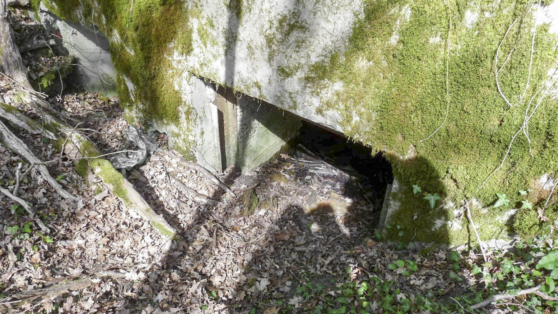 Ligne Maginot - LES TRICHES 1 - (Blockhaus pour canon) - L'accès pour la pièce antichar avec les glissières  permettant son obturation avec des rails en acier - Sylvie Laure LAMBERT