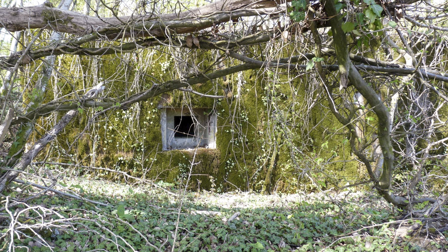 Ligne Maginot - LES TRICHES 1 - (Blockhaus pour canon) - Créneau de défense latéral - Sylvie Laure LAMBERT