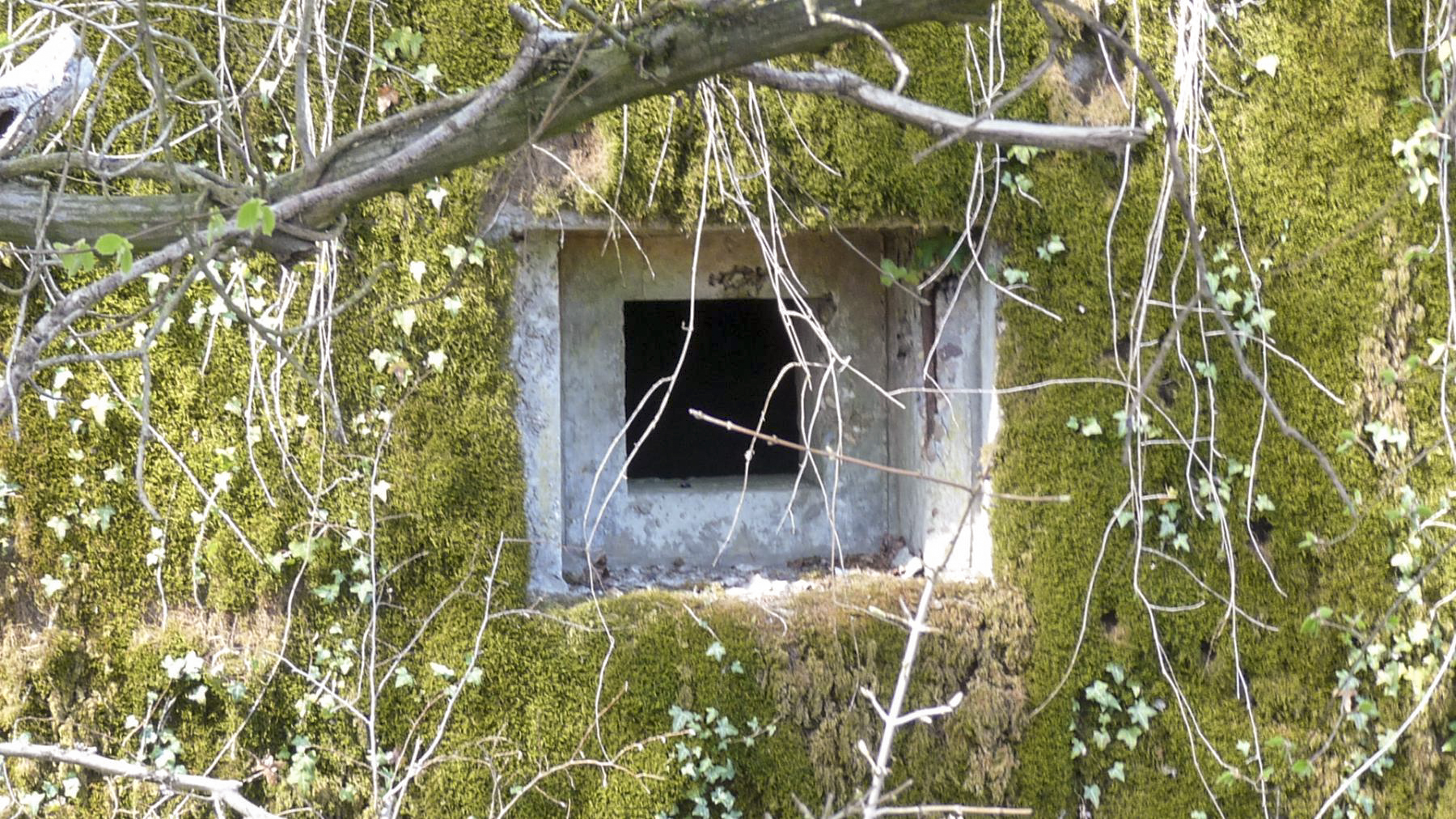 Ligne Maginot - LES TRICHES 1 - (Blockhaus pour canon) -  - Sylvie Laure LAMBERT