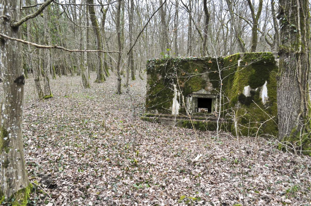 Ligne Maginot - LES TRICHES 2 - (Blockhaus pour arme infanterie) -  - Pruzsina jerome