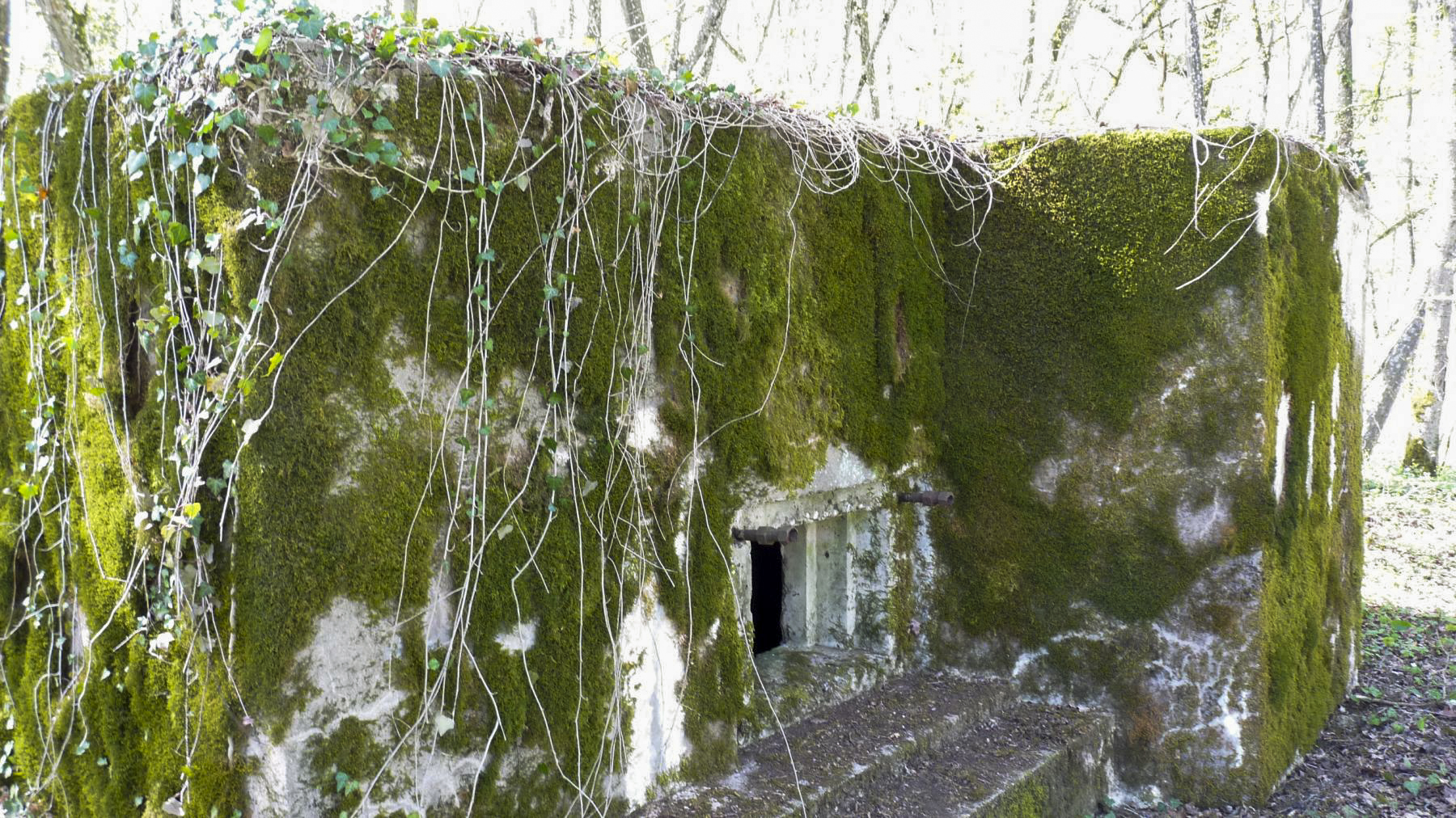 Ligne Maginot - LES TRICHES 2 - (Blockhaus pour arme infanterie) -  - Sylvie Laure LAMBERT