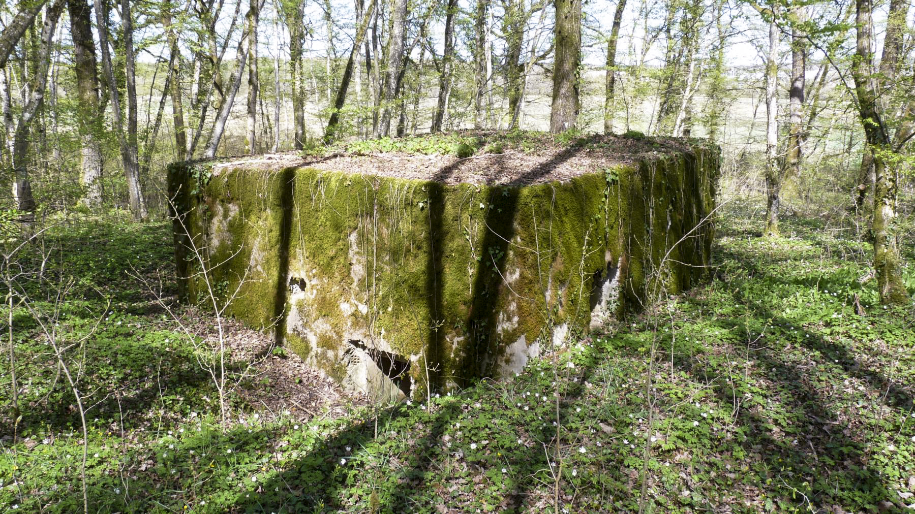 Ligne Maginot - LES TRICHES 2 - (Blockhaus pour arme infanterie) -  - Sylvie Laure LAMBERT