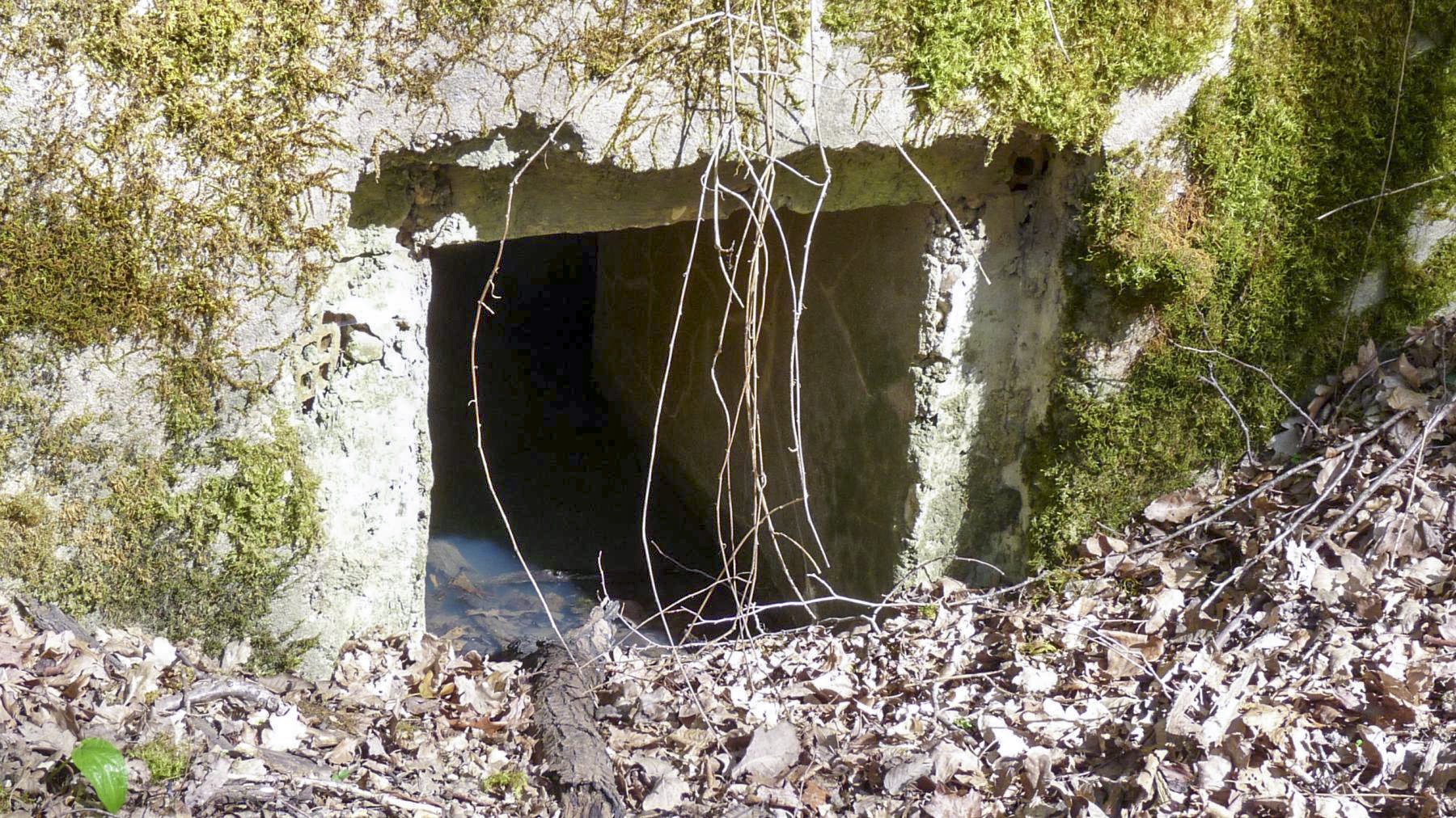 Ligne Maginot - LES TRICHES 2 - (Blockhaus pour arme infanterie) - L'entrée  - Sylvie Laure LAMBERT