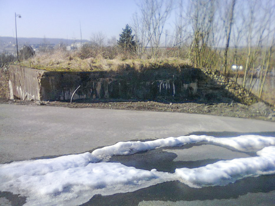 Ligne Maginot - LONGLAVILLE EST - (Blockhaus pour canon) - Vue de l'arrière de l'ouvrage - Christian RICHON-devoitine520