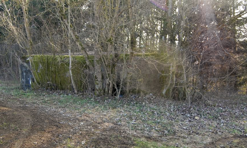 Ligne Maginot - MM252 - BOIS DU HARPEL OUEST - (Blockhaus pour arme infanterie) -  - Christian RICHON-devoitine520