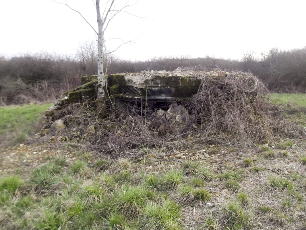 Ligne Maginot - MM272 - LE RATENTOUT OUEST - (Casemate d'artillerie) - vue sur le créneau de tir   - David HARMAND