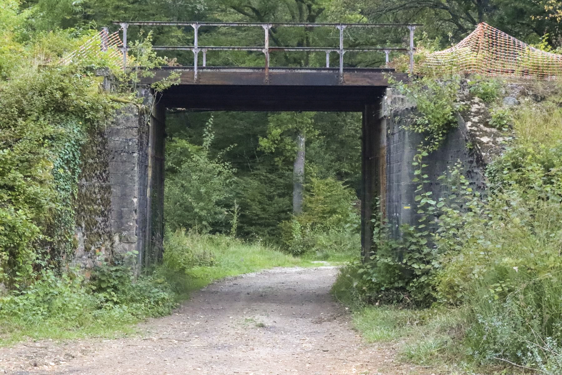 Ligne Maginot - VF60 - ROCADE SAINT-HUBERT / BOULANGE / MANCE - PARTIE SFCR - (RESEAU - Voie 60 - Antenne ou rocade ferroviaire) - Pont des Vaches - Eric KLAMEREK