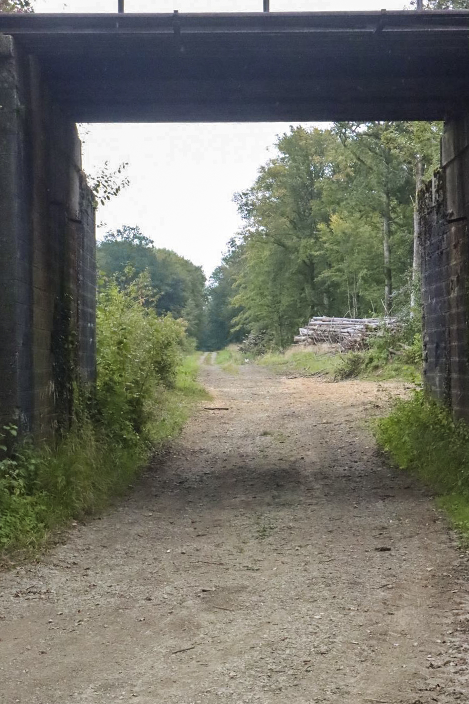 Ligne Maginot - VF60 - ROCADE SAINT-HUBERT / BOULANGE / MANCE - PARTIE SFCR - (RESEAU - Voie 60 - Antenne ou rocade ferroviaire) - Pont des Vaches - Eric KLAMEREK