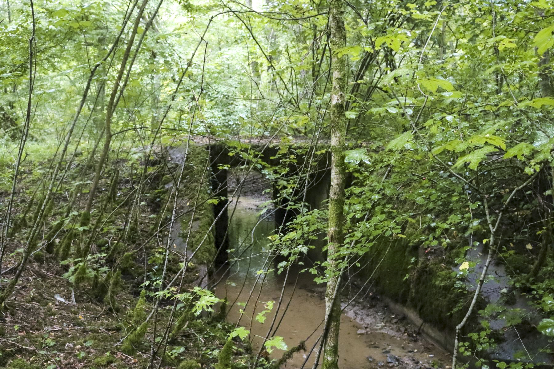 Ligne Maginot - VF60 - ROCADE SAINT-HUBERT / BOULANGE / MANCE - PARTIE SFCR - (RESEAU - Voie 60 - Antenne ou rocade ferroviaire) - Pont des Seigneurs - Eric KLAMEREK
