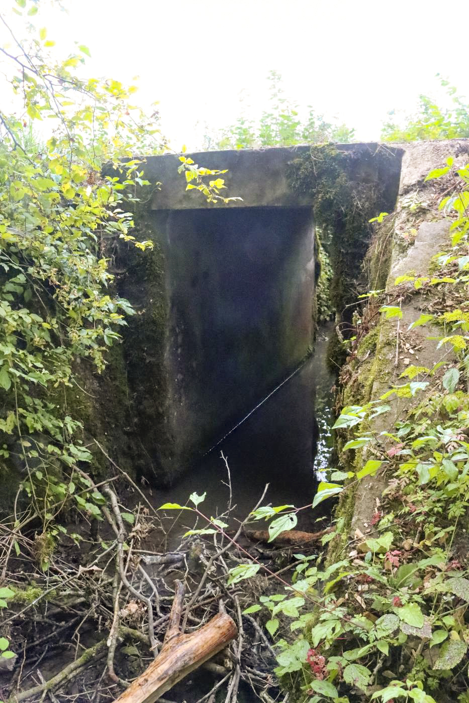 Ligne Maginot - VF60 - ROCADE SAINT-HUBERT / BOULANGE / MANCE - PARTIE SFCR - (RESEAU - Voie 60 - Antenne ou rocade ferroviaire) - Pont du Heckenholtz - Eric KLAMEREK