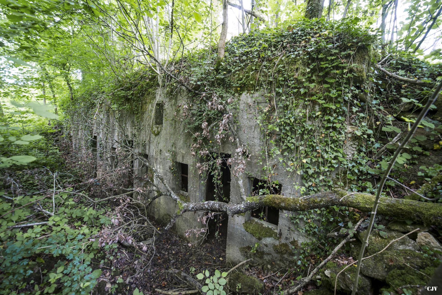 Ligne Maginot - BOIS DU RAFOUR (III/149° RIF) - (PC de Quartier) -  - Lia VERMEULEN