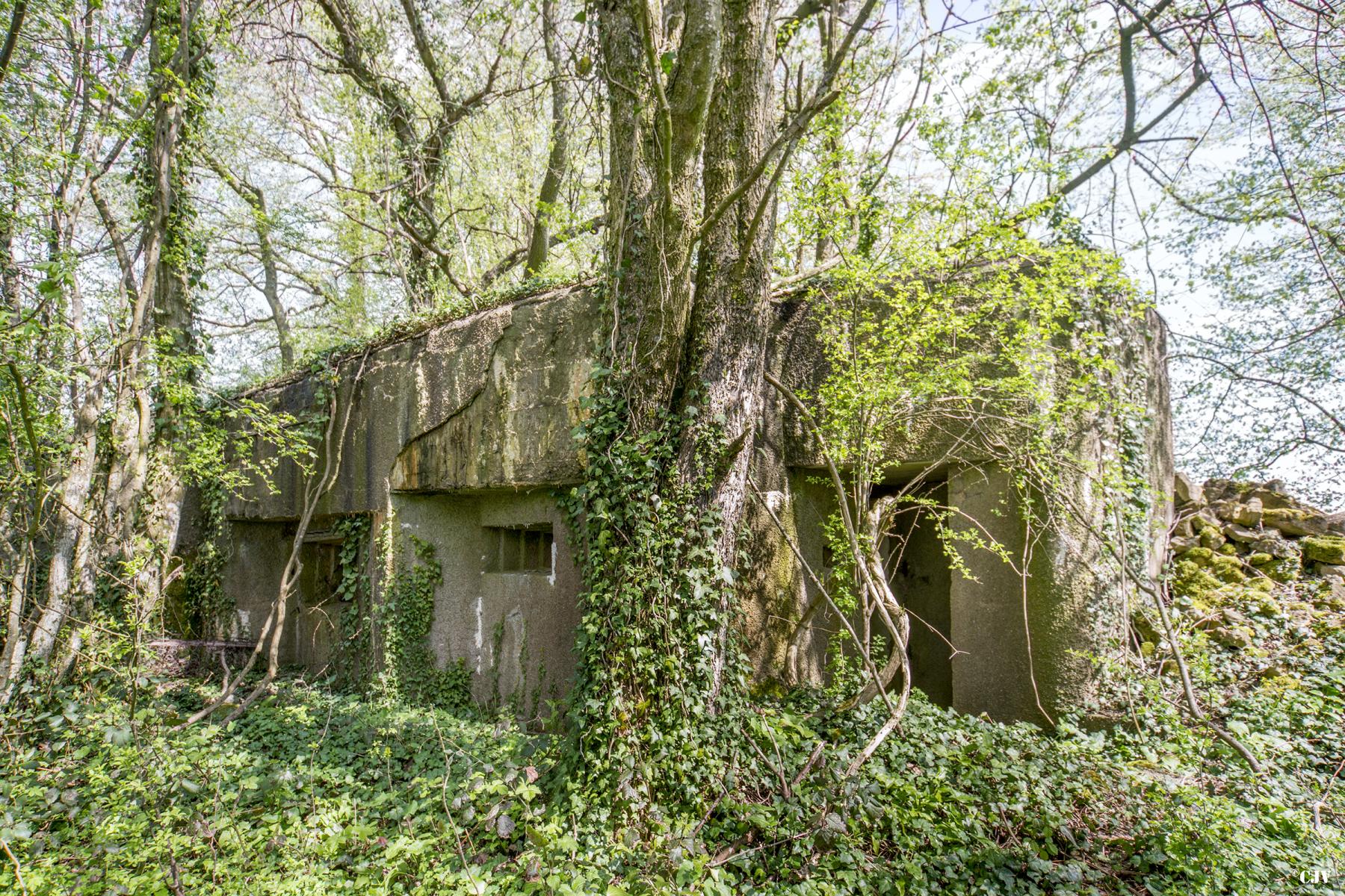 Ligne Maginot - DB34 - LA HAIE AUX MURES - (Blockhaus pour canon) -  - Lia VERMEULEN
