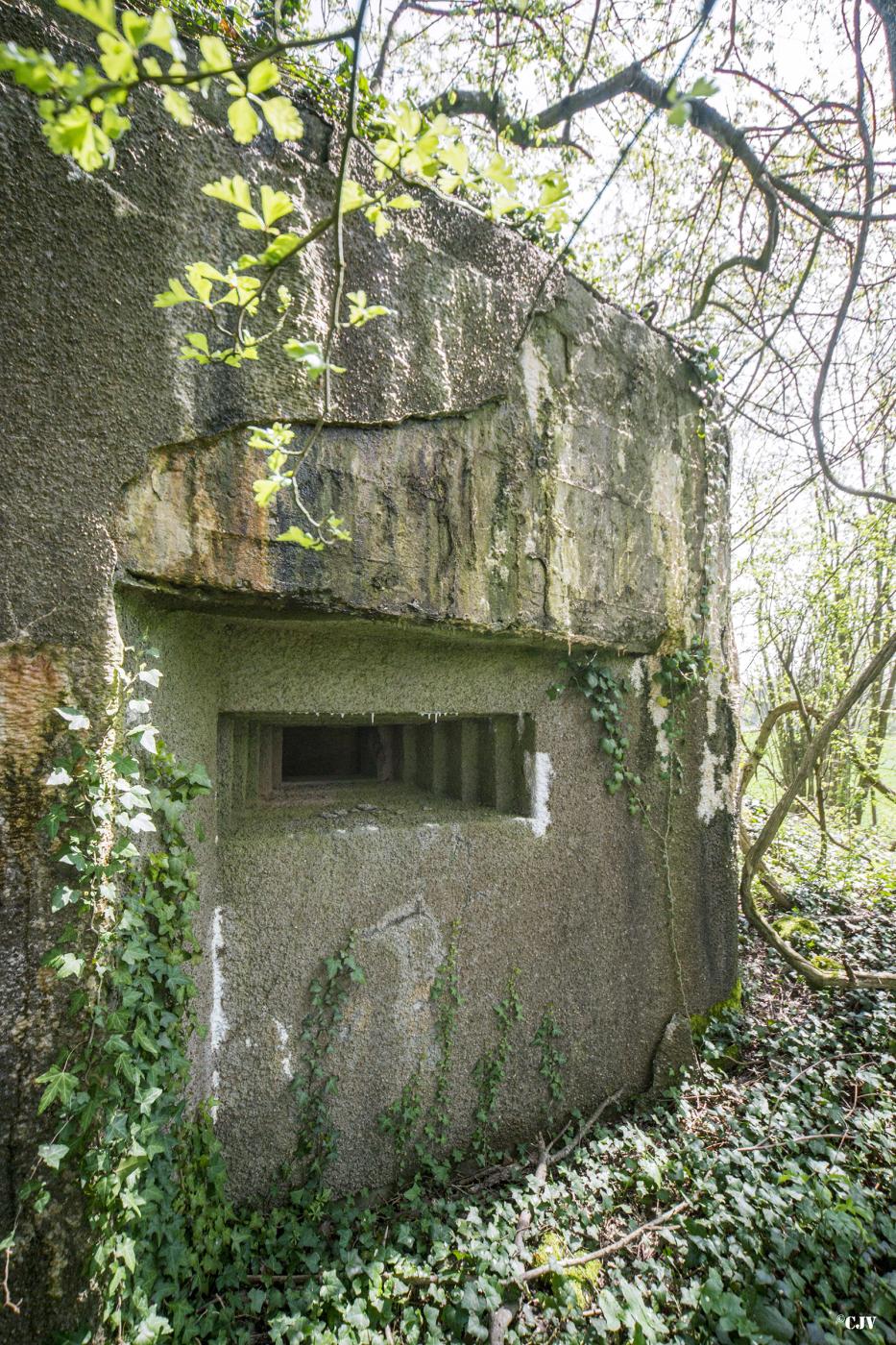 Ligne Maginot - DB34 - LA HAIE AUX MURES - (Blockhaus pour canon) -  - Lia VERMEULEN