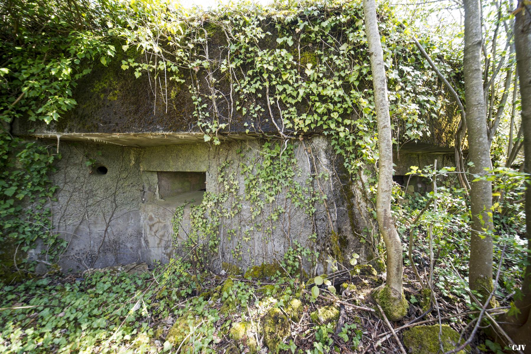 Ligne Maginot - DB35 - FROIDCUL - (Blockhaus pour canon) - Le premier créneau pour mitrailleuses - Lia VERMEULEN
