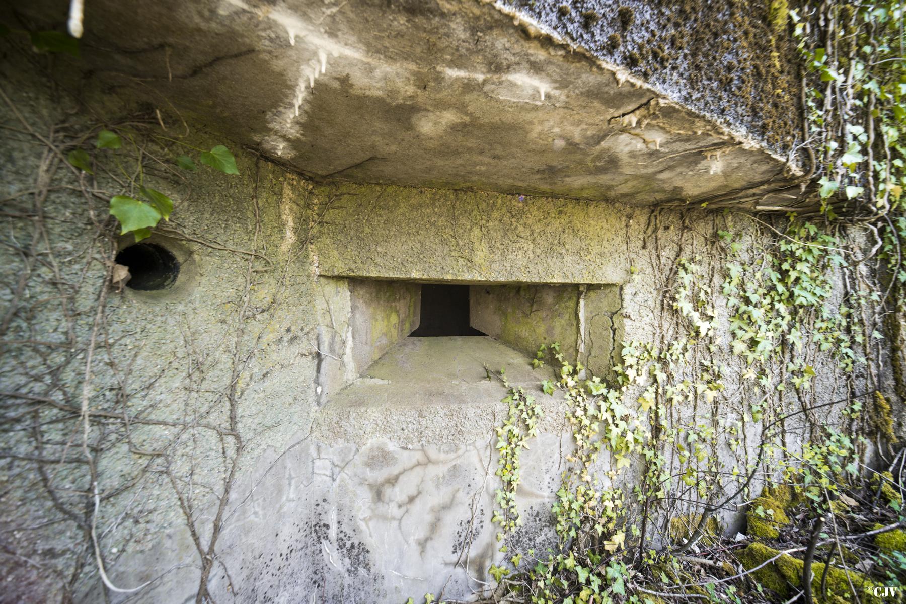 Ligne Maginot - DB35 - FROIDCUL - (Blockhaus pour canon) - Le premier créneau pour mitrailleuses - Lia VERMEULEN