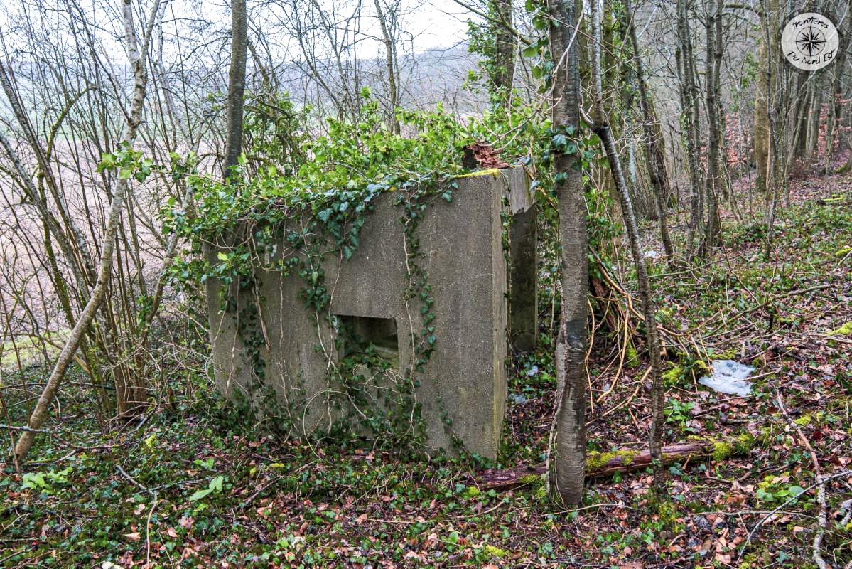 Ligne Maginot - DBO6 - (Blockhaus pour canon) -  - Thierry Caland