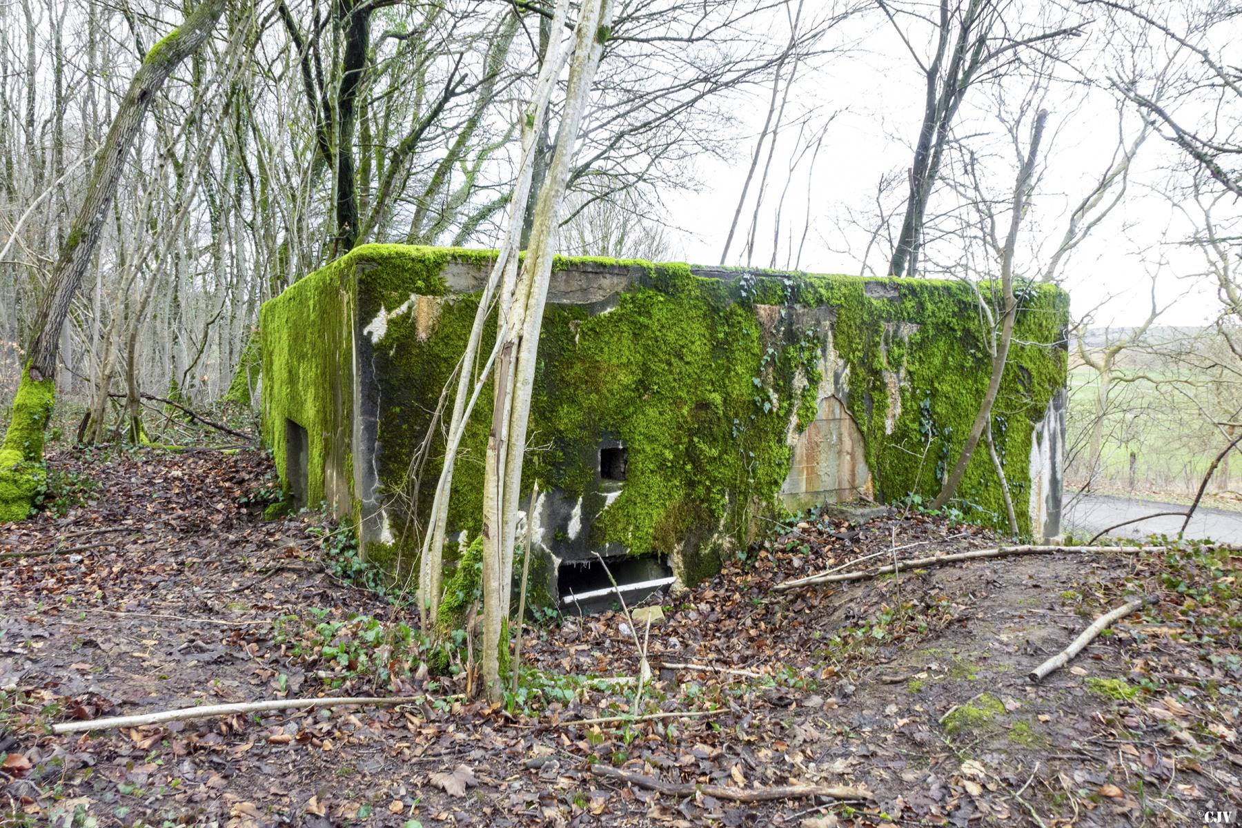 Ligne Maginot - DB305 - GRAND BOIS - (Blockhaus pour canon) -  - Lia VERMEULEN