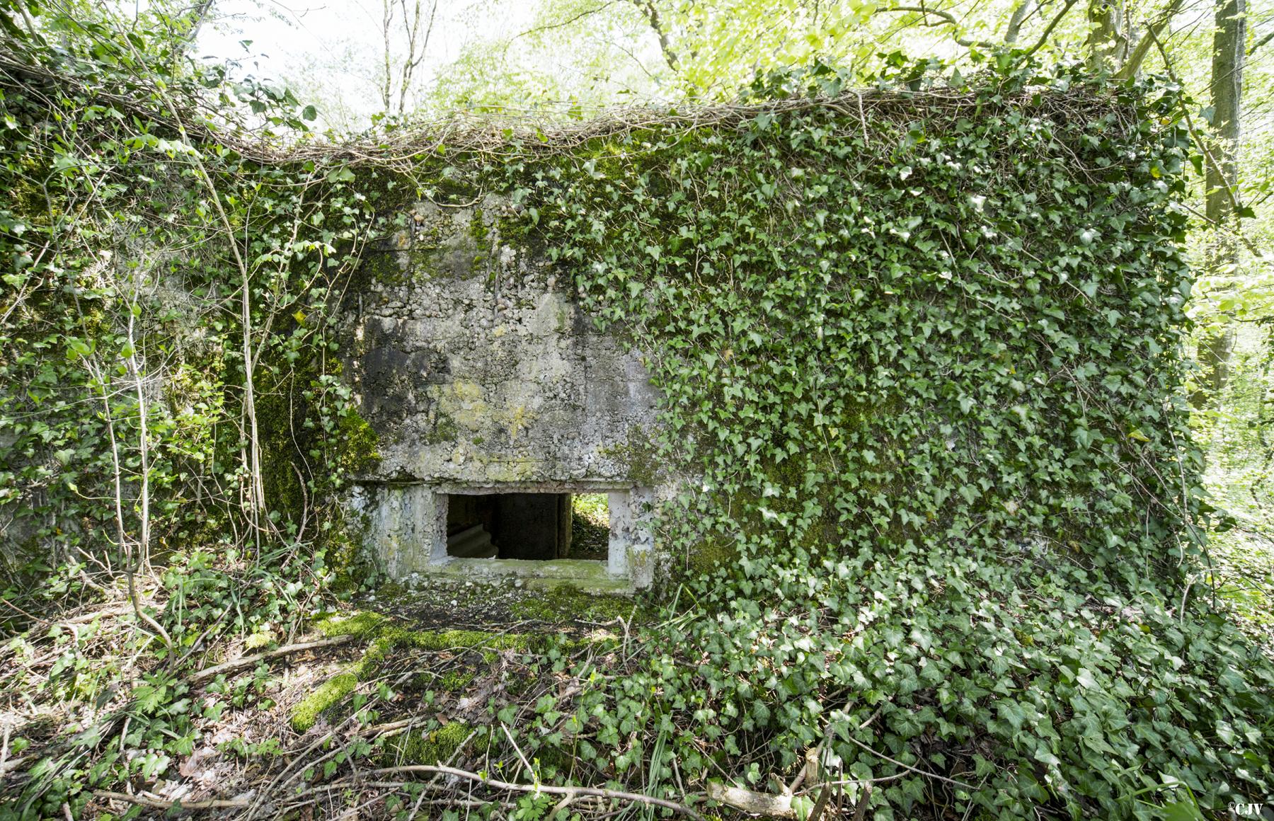 Ligne Maginot - DB317 - BOIS DE BEUVEILLE  OUEST 2 - (Blockhaus pour canon) - Le créneau - Lia VERMEULEN