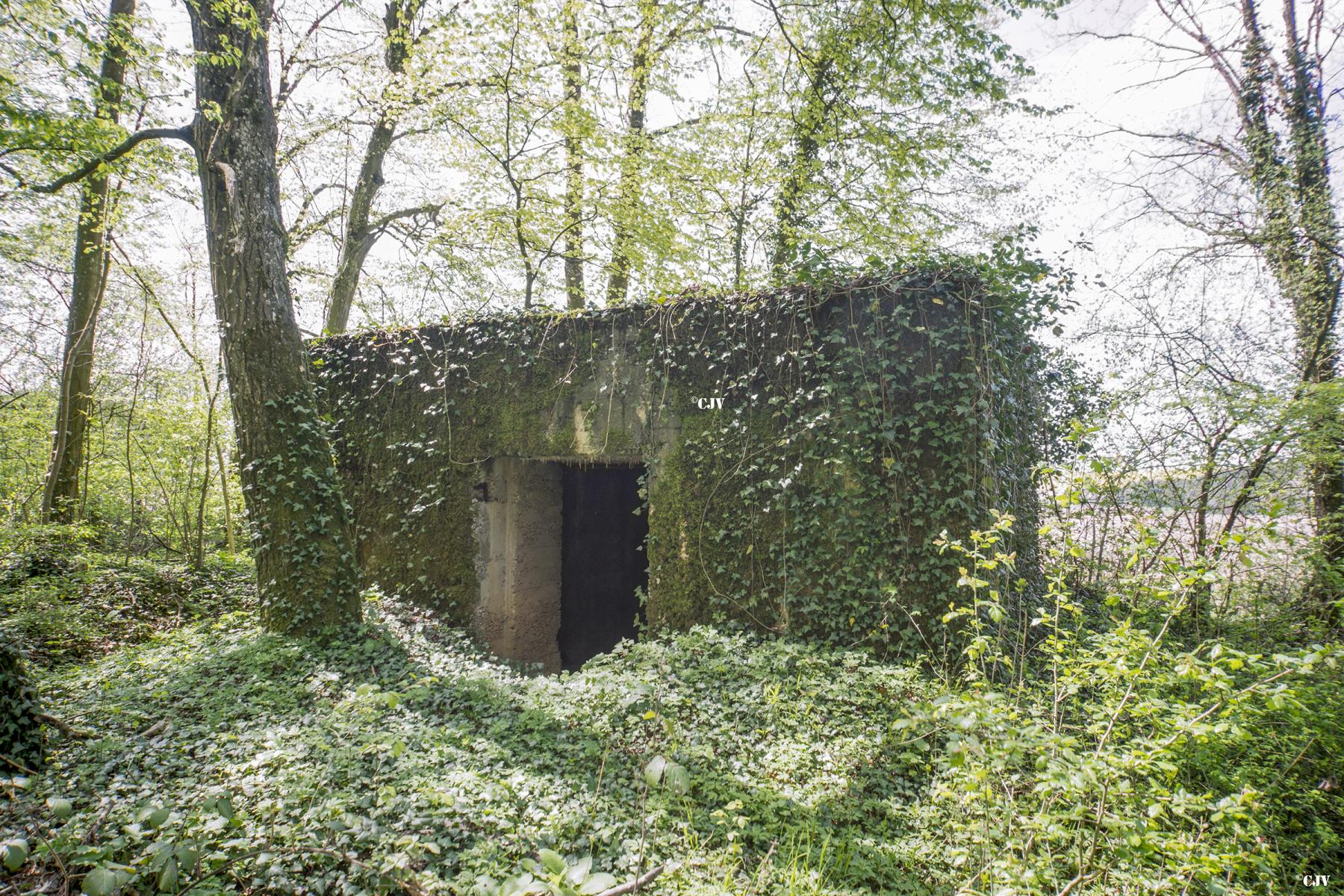 Ligne Maginot - DB317 - BOIS DE BEUVEILLE  OUEST 2 - (Blockhaus pour canon) -  - Lia VERMEULEN