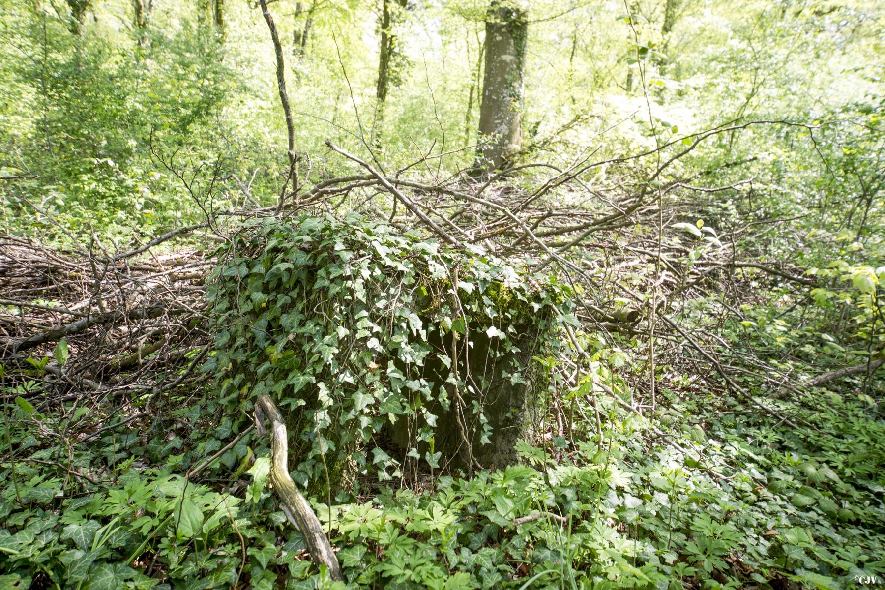 Ligne Maginot - DB317 - BOIS DE BEUVEILLE  OUEST 2 - (Blockhaus pour canon) - Une niche pour munitions - Lia VERMEULEN