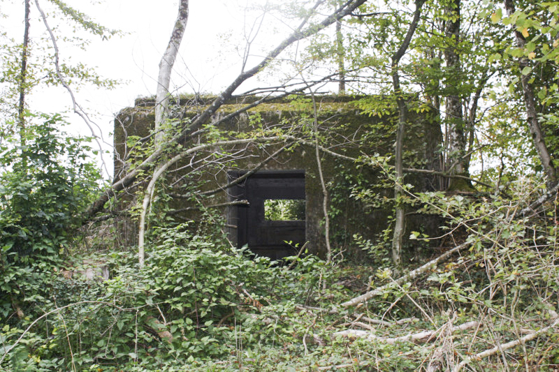 Ligne Maginot - DB318 - BOIS DE BEUVEILLE NORD OUEST - (Blockhaus pour canon) - L'entrée du matériel - www.ligne-maginot.org