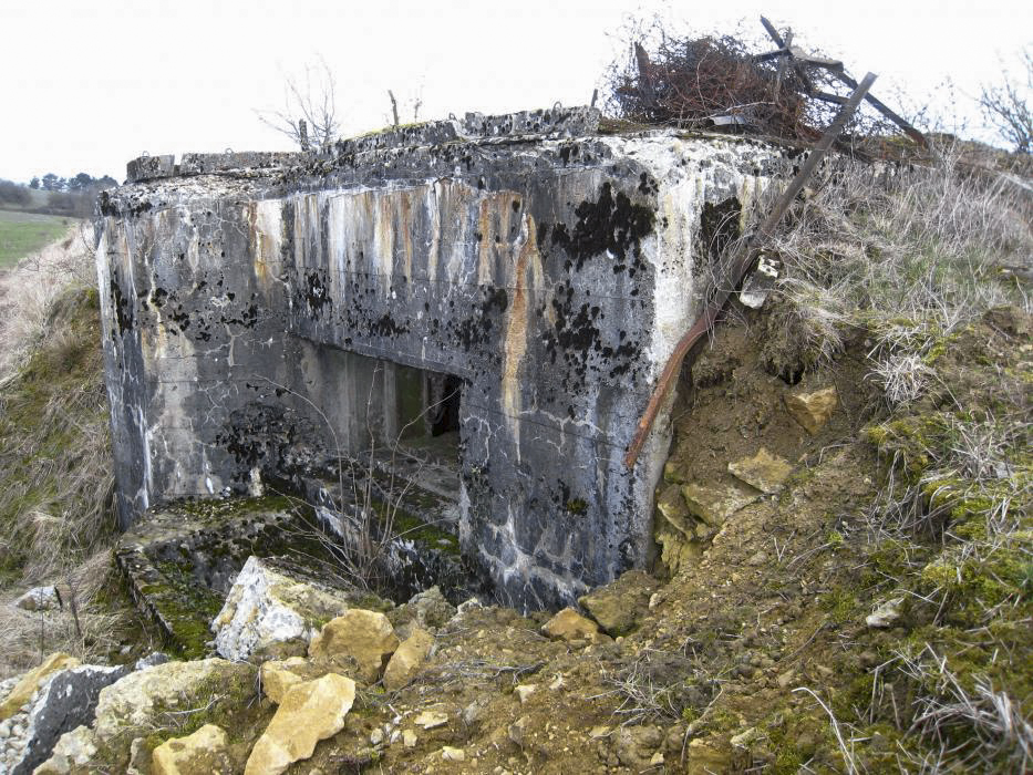Ligne Maginot - DB319 - LA MARCHIERE - (Blockhaus pour canon) - Vue  générale - Pruzsina Jerome