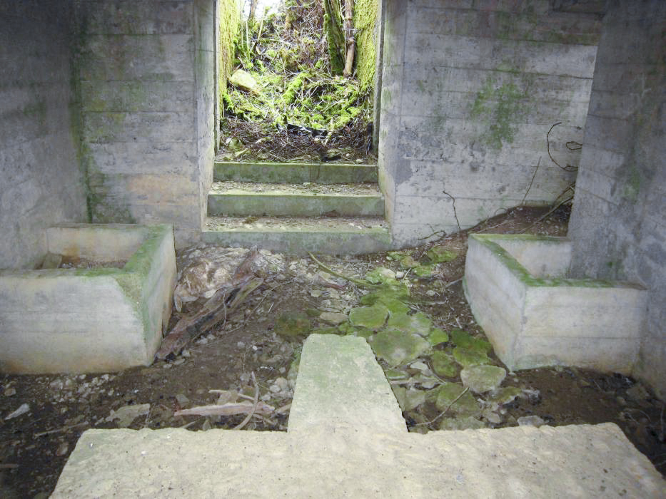 Ligne Maginot - DB319 - LA MARCHIERE - (Blockhaus pour canon) - L'emplacement pour le canon - Pruzsina Jerome