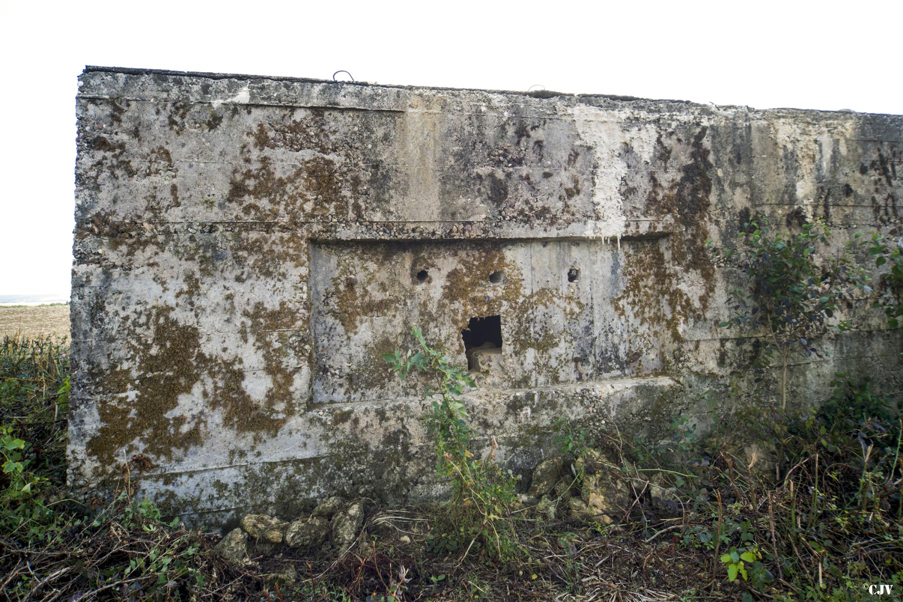 Ligne Maginot - DB321 - CHINAUVEAU - (Blockhaus pour canon) -  - Lia VERMEULEN