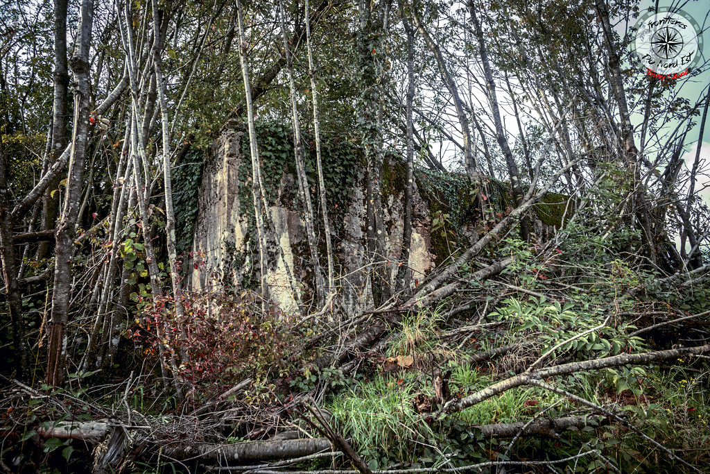 Ligne Maginot - MOREMONT Nord - (Blockhaus pour canon) - Difficilement visible - Thierry Caland