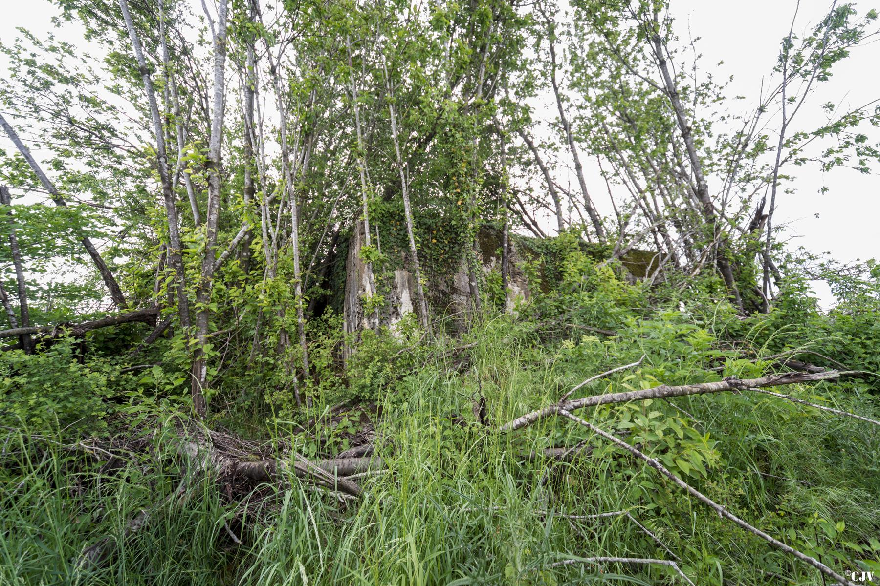 Ligne Maginot - MOREMONT NORD - (Blockhaus pour canon) -  - Lia VERMEULEN